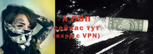 mdpv Бородино