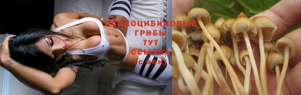 синтетический гашиш Бронницы