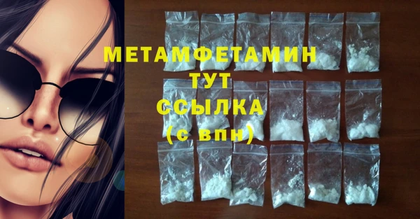mdpv Бородино