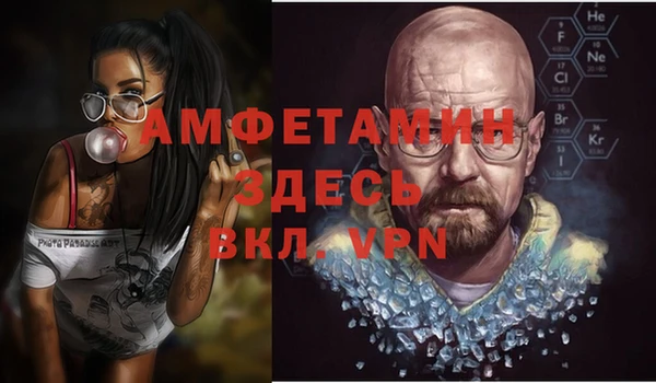 mdpv Бородино