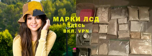 mdpv Бородино