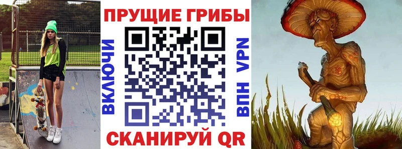что такое наркотик  Комсомольск  Псилоцибиновые грибы Psilocybine cubensis 